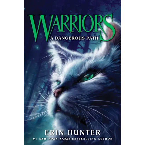Warriors #5: A Dangerous Path