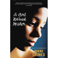 A Girl Named Mister