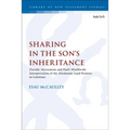 Sharing in the Son's Inheritance: Davidic Messianism and Paul's Worldwide Interpretation of the Abrahamic Land Promise in Galatians