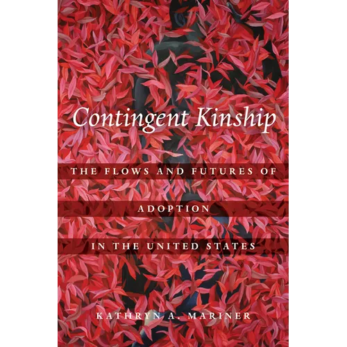 Contingent Kinship: The Flows and Futures of Adoption in the United States Volume 2