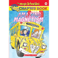Amazing Magnetism (the Magic School Bus Chapter Book #12)