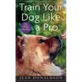 Train Your Dog Like a Pro