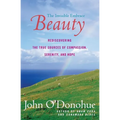 Beauty: The Invisible Embrace