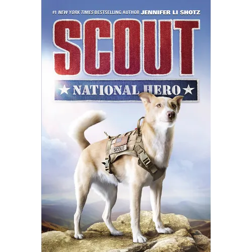 Scout: National Hero