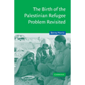 The Birth of the Palestinian Refugee Problem Revisited