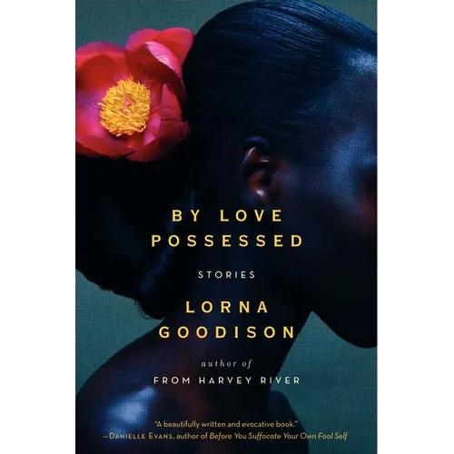 By Love Possessed: Stories
