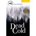 Dead Cold Level 2