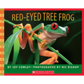 Red-Eyed Tree Frog