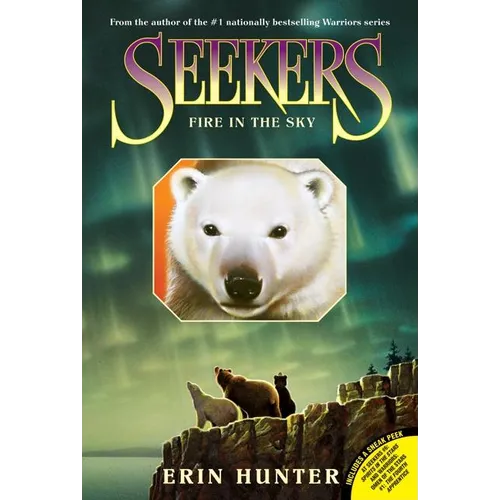 Seekers #5: Fire in the Sky