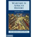 Warfare in African History