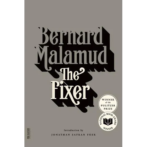 The Fixer