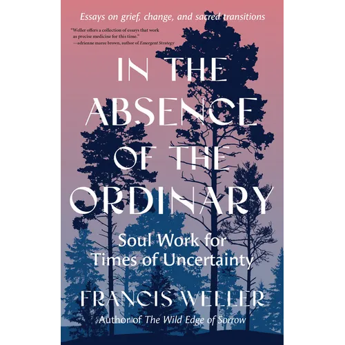In the Absence of the Ordinary: Soul Work for Times of Uncertainty--Essays on Grief, Change, and Sacred Transitions