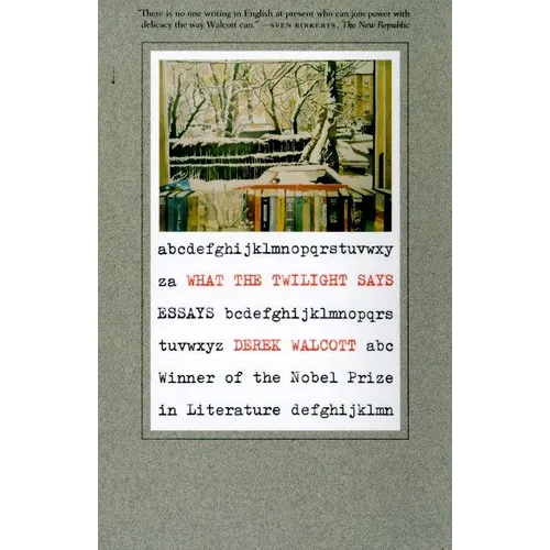 What the Twilight Says: Essays