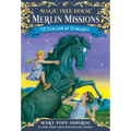 Stallion by Starlight