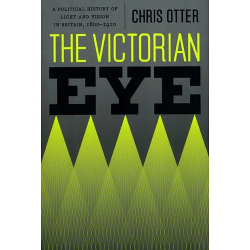 The Victorian Eye: A Political History of Light and Vision in Britain, 1800-1910