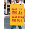 Walkin' the Dog