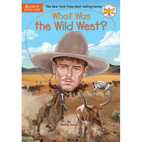 What Was the Wild West?