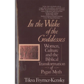 In the Wake of the Goddesses: Women, Culture and the Biblical Transformation of Pagan Myth