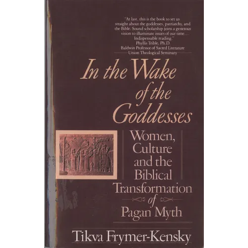 In the Wake of the Goddesses: Women, Culture and the Biblical Transformation of Pagan Myth