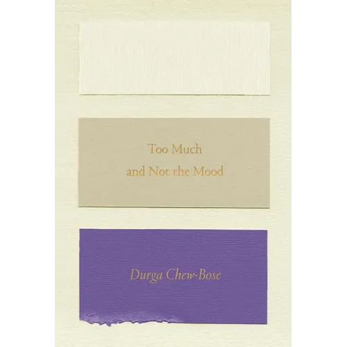 Too Much and Not the Mood: Essays