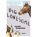Big Lonesome