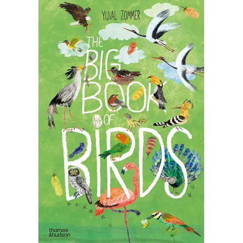 The Big Book of Birds