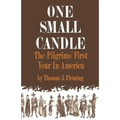 One Small Candle: The Pilgrims' First Year in America