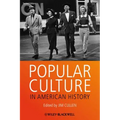 Popular Culture in American Hi