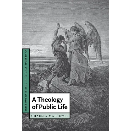 A Theology of Public Life