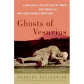 Ghosts of Vesuvius: A New Look at the Last Days of Pompeii, How Towers Fall, and Other Strange Connections