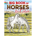 Big Book of Horses to Color