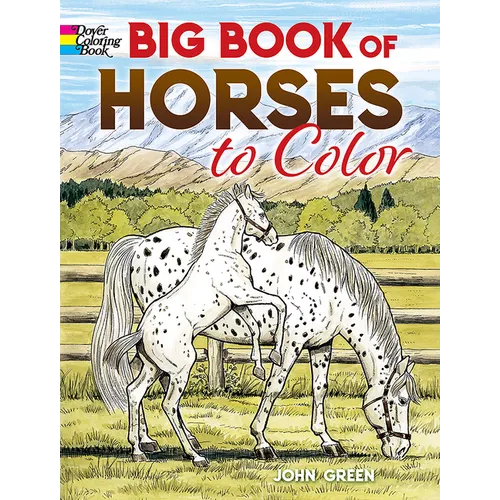 Big Book of Horses to Color