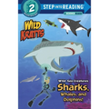 Wild Sea Creatures: Sharks, Whales and Dolphins! (Wild Kratts)