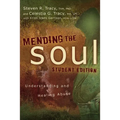 A Mending the Soul: Understanding and Healing Abuse (Student)