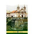 A Journey in Brazil: A Travel Journal of Rio de Janeiro, Manaus, the Amazon River and Rainforests, Featuring Brazilian History, Food, Culture and the