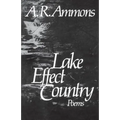 Lake Effect Country: Poems