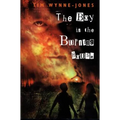 The Boy in the Burning House