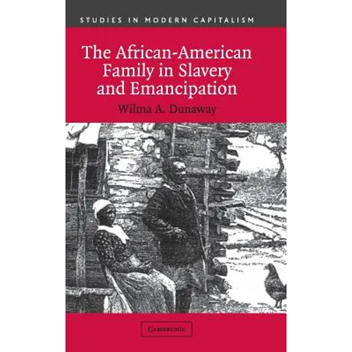 The African-American Family in Slavery and Emancipation