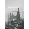 Among Ruins
