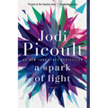 A Spark of Light