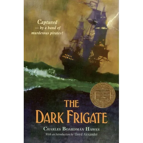 The Dark Frigate