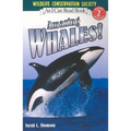 Amazing Whales!