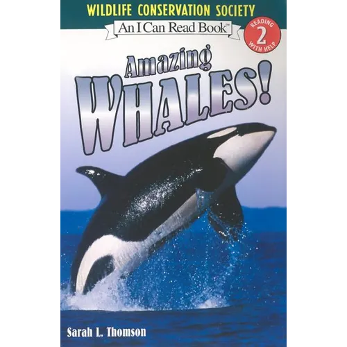 Amazing Whales!