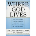 Where God Lives: The Science of the Paranormal and How Our Brains Are Linked to the Universe