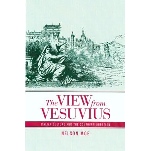 The View from Vesuvius: Italian Culture and the Southern Question Volume 46