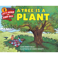 A Tree Is a Plant