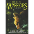 Warriors: Power of Three #2: Dark River