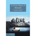 A Concise History of Wales