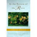 At the Bottom of the River