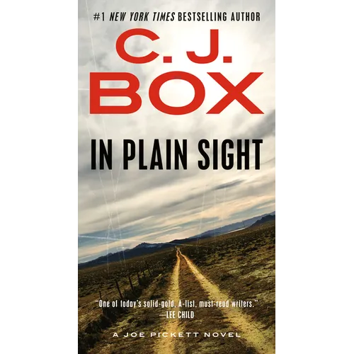 In Plain Sight
